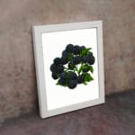 Infidu Vintage Blackberry Wall Art showing detailed dark blackberries with green leaves on a white background. displayed on the wall