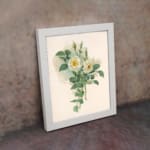 Infidu vintage wall art featuring white roses with yellow centers and green leaves on a soft beige background in a classic white frame. displayed on the wall