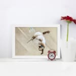 Infidu vintage wall art featuring a graceful hummingbird in flight against a soft brown background with soothing, natural tones. displayed on the wall art in a white frame