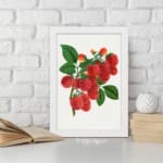 Vintage wall art of red lychee fruits on a branch with green leaves, framed in white on a white background. displayed on the wall