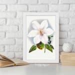 Vintage wall art of a white flower with soft purple hues and green leaves, framed in white. displayed on the wall
