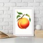 Infidu Ripe Peach Botanical Fruit Vintage Wall Art with bright orange peach and green leaves. displayed on the wall