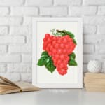 Vintage wall art of red grapes with green leaves on a white background. displayed on the wall