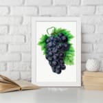 Vintage wall art of dark purple grapes with green leaves on a white background. displayed on the wall