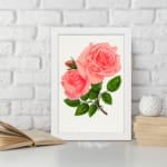 Vintage pink rose wall art with two full-bloom roses and green leaves on white background. displayed on the wall