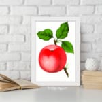 Vintage red apple wall art with green leaves on a white background. displayed on the wall