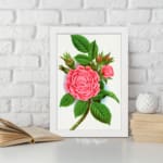 Infidu vintage wall art with blooming pink rose and green leaves in a classic white frame. displayed on the wall