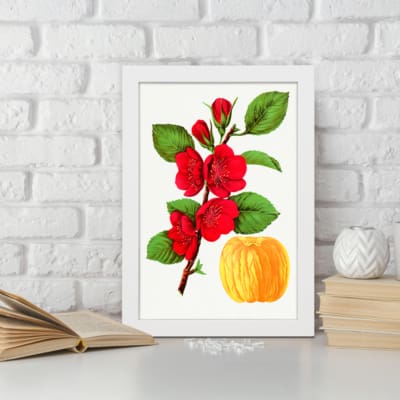 Infidu vintage wall art featuring vibrant red flowers and lush green leaves against a white background with a sleek black border. displayed on the wall art in a white frame