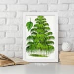 Infidu vintage wall art of a cascading green tree with detailed leaves on a white background. displayed on the wall