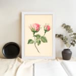 Infidu vintage wall art with two pink rosebuds and green leaves on a cream background in a white frame. displayed on the wall