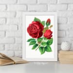 Vintage botanical wall art of red roses with green leaves on a white background by Infidu. displayed on the wall