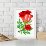 Infidu vintage wall art featuring red trumpet flowers with green leaves on a white background. displayed on the wall