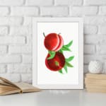 Vintage wall art featuring ripe red peaches with green leaves and a clean white background. displayed on the wall