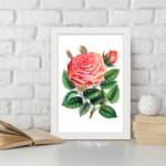 Infidu Pink Rose in Full Bloom Vintage Wall Art with detailed petals and green leaves. displayed on the wall