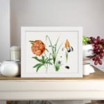 Vintage botanical wall art with orange peony, yellow and purple iris, and green leaves, featuring small insects, framed in white. displayed on the table
