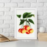 Vintage wall art of red and yellow cherries on a branch with green leaves in a white frame. displayed on the wall