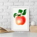Vintage botanical wall art of a ripe peach with green leaves on a white background. displayed on the wall