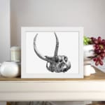 Black and white detailed vintage animal skull wall art with large curved horns on a white background. displayed on the wall