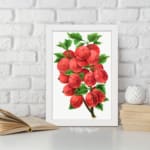 Vintage botanical wall art of red gooseberries and green leaves on a white background. displayed on the wall