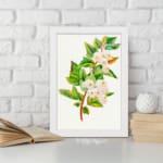 Vintage botanical wall art showing white flowers with pink petals and green leaves on a brownish-red stem against a white background. displayed on the wall