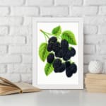 Infidu Vintage Dark Mulberries botanical wall art showing detailed purple-black mulberries with green leaves on a white background. displayed on the wall