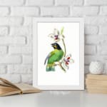A green bird perched on a branch with white flowers, set on a white background and framed in white. displayed on the wall