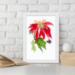 Vintage wall art print of a red flower with peach petals, green leaves, and a black and purple butterfly on a white background. displayed on the wall