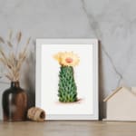 Vintage wall art of a cactus with a yellow flower in bloom, set against a light cream background, framed in white. displayed on the wall