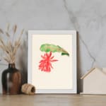 Vintage wall art with a red hanging flower and green leaf on a cream background, framed in white. displayed on the wall