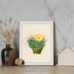 Infidu Vintage Cactus & Yellow Flower Wall Art showcasing a vibrant cactus plant with a yellow flower, framed in white. displayed on the wall
