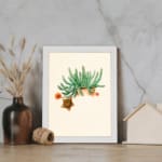 Vintage wall art of green cactus with orange flowers on beige background in a white frame displayed on the wall