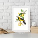 Yellow bird on a branch with green leaves and soft yellow fruits – Infidu vintage wall art displayed on the wall