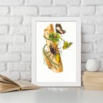 Vintage art featuring a wild nature-inspired scene with a spider, butterflies, and green leaves on a piece of bark, framed in white. displayed on the wall