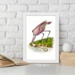 Pink bird bending near water with grass and earthy background in vintage style. displayed on the wall