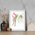 Vintage botanical wall art featuring cactus-like plants and air plants with pink flowers, framed in white for a clean, natural look. displayed on the wall
