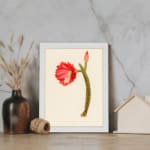 Vintage cactus flower wall art with a red bloom, pink bud, and green cactus stem on a light beige background, framed in white. displayed on the wall