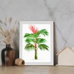 Vibrant palm plant with red growth on a clean white background, framed in white, showcasing tropical beauty and energy. displayed on the wall
