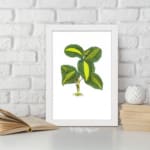 Vintage wall art of a small plant with green and yellow leaves, detailed design on a white background with a white frame. displayed on the wall