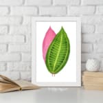 Vintage wall art featuring a green and pink leaf print with detailed veins and a white background. displayed on the wall
