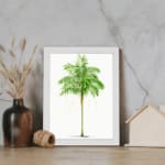 Vintage wall art of a green leaf with light yellowish-white patterns on a white background in a white frame. displayed on the wall