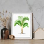 Vintage wall art of a green palm with long leaves and a split trunk framed in white. displayed on the wall