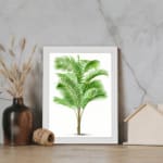 Vintage wall art of a tropical green palm plant with long leaves, set against a white background and framed in white. displayed on the wall