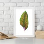 The vintage wall art features a green leaf with bright orange veins and a touch of purple at the base, set against a white background and framed in a white frame. displayed on the wall