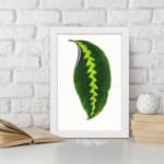 Vintage wall art showcasing a bold green leaf with a yellow-green zigzag pattern and purple edge, framed in white for an elegant finish. displayed on the wall