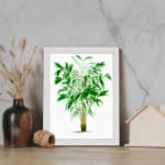 Vintage wall art of a green leafy plant with narrow leaves in varying shades of green, framed in white for a modern touch. displayed on the wall