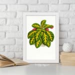 Vintage wall art of a leafy plant with green, yellow, and pinkish-red leaves on a white background, framed in white. displayed on the wall