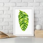 Bright green leaf with light and dark tones on white background in a white frame – vintage wall art by Infidu. displayed on the wall
