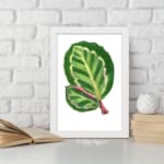 Vintage wall art of two overlapping green leaves with pinkish-red veins on a white background, framed in white. displayed on the wall