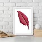 Vintage wall art with a single deep red leaf centered on a white background, framed in white. displayed on the wall