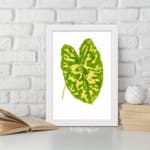 Vintage wall art of a large green tropical leaf with bright yellow streaks on a white background and white frame. displayed on the wall